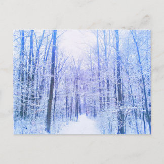 Cartão Postal 2Cartão postal da Woodland de inverno
