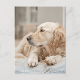 Cartão Postal 34137641_xxl