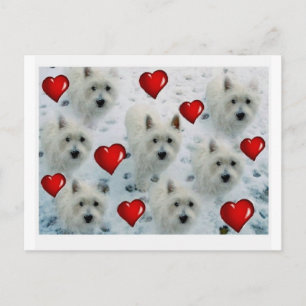 Cartão Postal 3.5 2.7 westie hearts new xvz 3.5 2.7 z.jpg