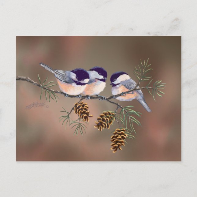 Cartão Postal 3 CHICKADEES & PINE CONESby SHARON SHARPE (Frente)