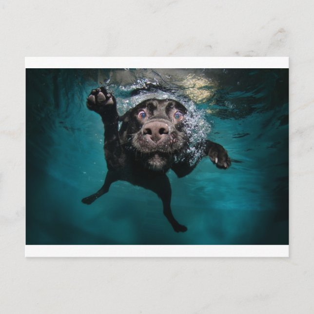 Cartão Postal 3.jpeg (Frente)