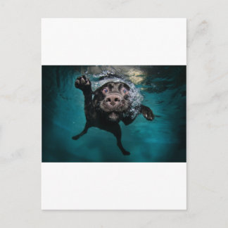 Cartão Postal 3.jpeg