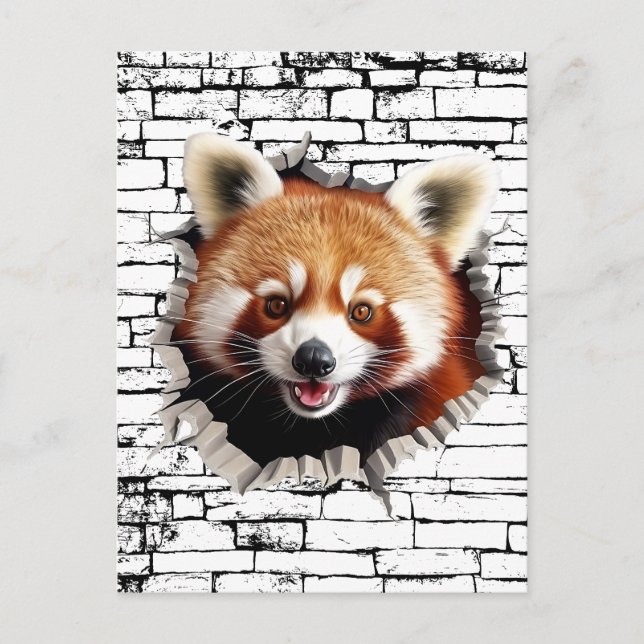 Cartão Postal 3D Red Panda Wall Break Art – Realistic Safari (Frente)