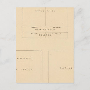 Cartão Postal 41 Elementos da população 1900