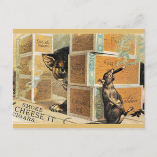 Cartão Postal 46 Animais domésticos