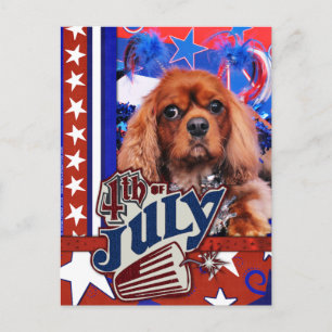 Cartão Postal 4 de julho - Cavalier King Charles Spaniel - Coope
