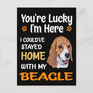 Cartão Postal 4 Você Está Com Sorte Em Casa Com Meu Beagle