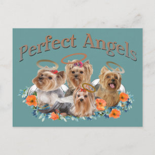 Cartão Postal 4 Yorkie Perfect Angels presentes