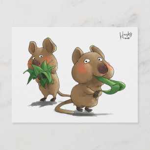 Cartão Postal 58: Quokas