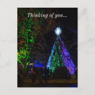 Cartão Postal 5 Estórias Sdc Tree Night