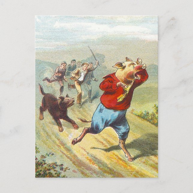 Cartão Postal 5 porcos pequenos: Gritou pouquinho pequenino (Frente)