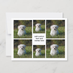 Cartão Postal 6 Colagem de Fotos - Estética em Grade Branca, Mín