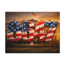 8647: Resistencia Americana Ousada