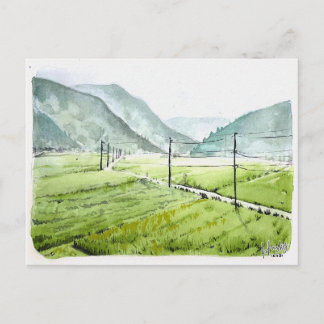 Cartão Postal 86: Campo de arroz matinal