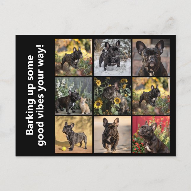 Cartão Postal 9 x imagens + texto (Frente)