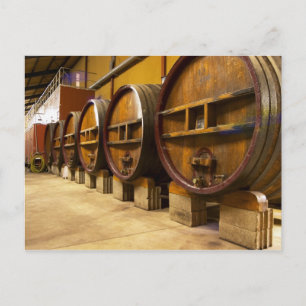 Cartão Postal A adega da vinícola com grandes barris de madeira 