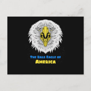 Cartão Postal A águia calva do americano - emblema dos EUA