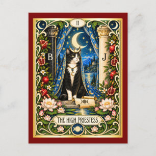 Cartão Postal A Alta Sacerdotisa Tarot do Gato - Sabedoria Inter