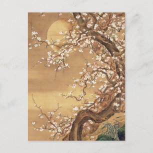 Cartão Postal A ameixa japonesa floresce à lua