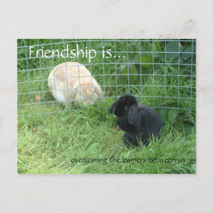 Cartão Postal A amizade é... ultrapassar as barreiras entre os d