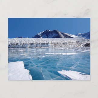 Cartão Postal A Antártica