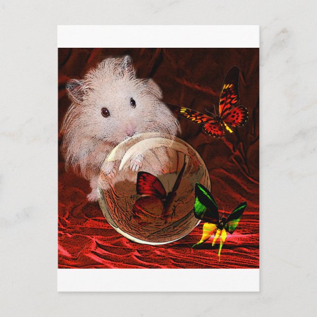 CARTÃO POSTAL A APRENCIA (Frente)