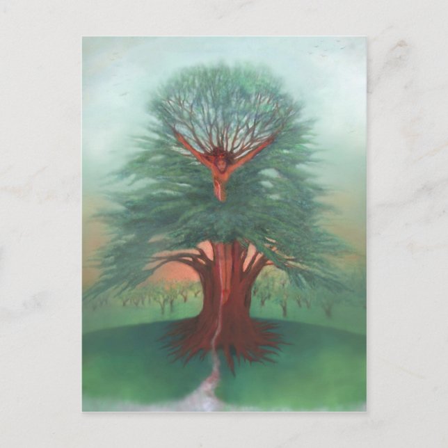 Cartão Postal A árvore de cura (Frente)