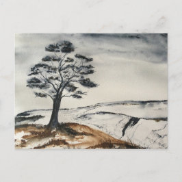Cartão Postal A Árvore Solitária