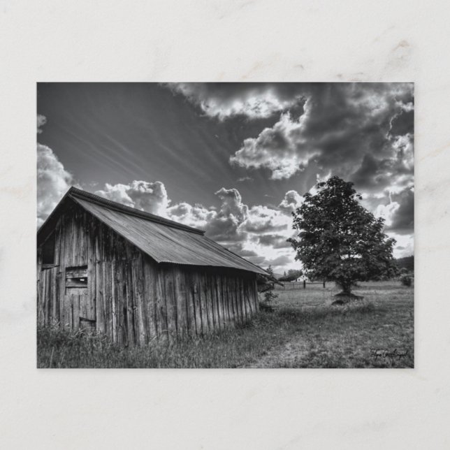 Cartão Postal A barraca (Frente)