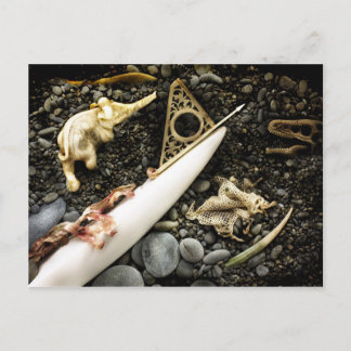 Cartão Postal A Beaching