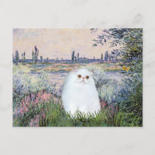 Cartão Postal À Beira do Sena - Gatinho Persa Branco #49