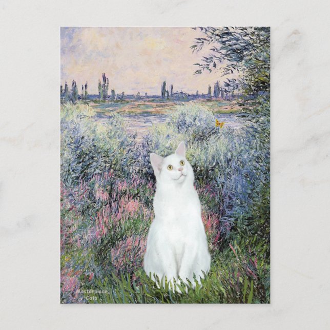Cartão Postal À beira do Sena - Gato branco (Frente)
