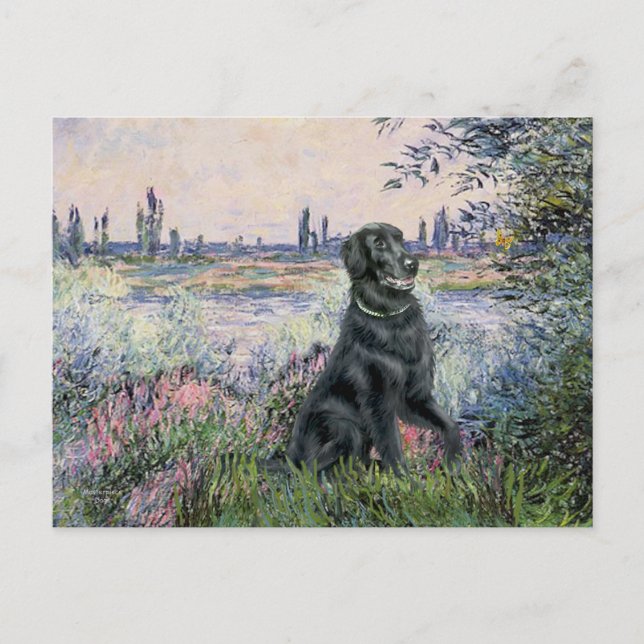 Cartão Postal À Beira do Sena - Retriever de Capa Lisa (Frente)