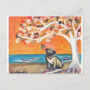 Cartão Postal a beleza da laranja