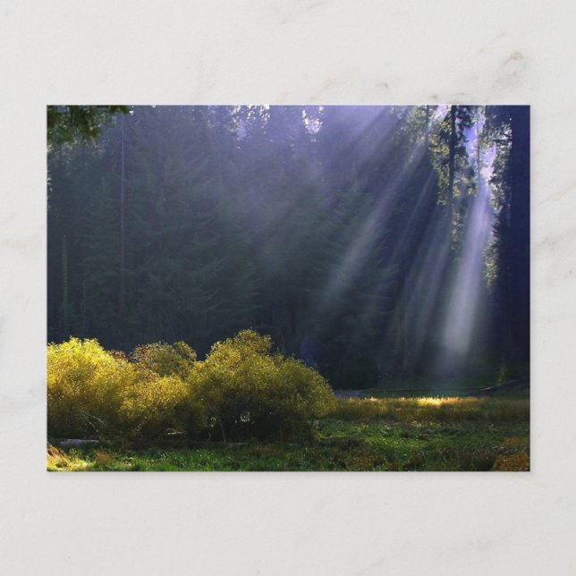 Cartão Postal A Beleza da Mãe Natureza (Frente)