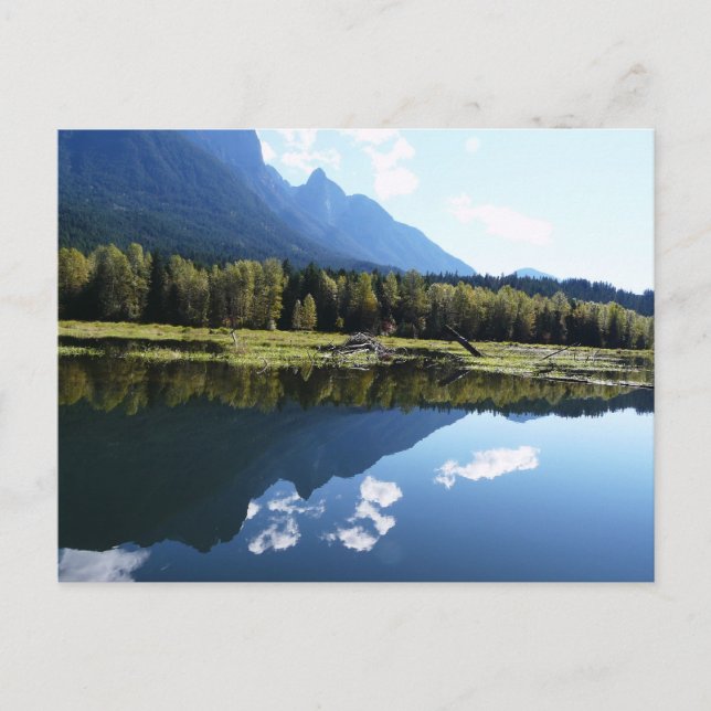 Cartão Postal A Beleza da Natureza Refletida (Frente)