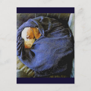 Cartão Postal A Bola do Bo