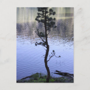 Cartão Postal A bondade importa