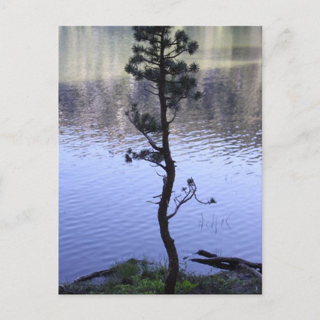 Cartão Postal A bondade importa (Frente)