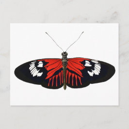 Cartão Postal A Borboleta Vermelha