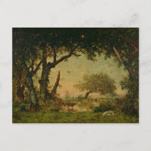 Cartão Postal A borda da floresta em Fontainebleau