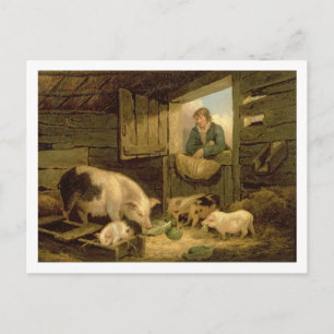 Cartão Postal A Boy Looking into a Pig Sty, 1794 (oil on canvas)
