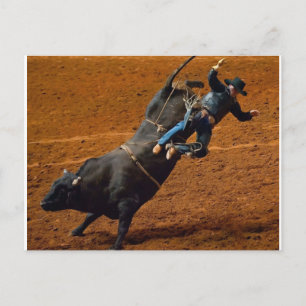 Cartão Postal A Bull Rider
