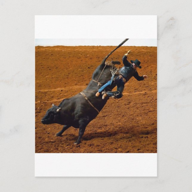 Cartão Postal A Bull Rider (Frente)