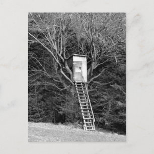 Cartão Postal A cadeira do caçador