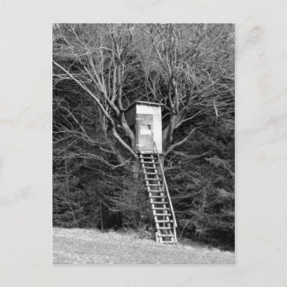 Cartão Postal A cadeira do caçador