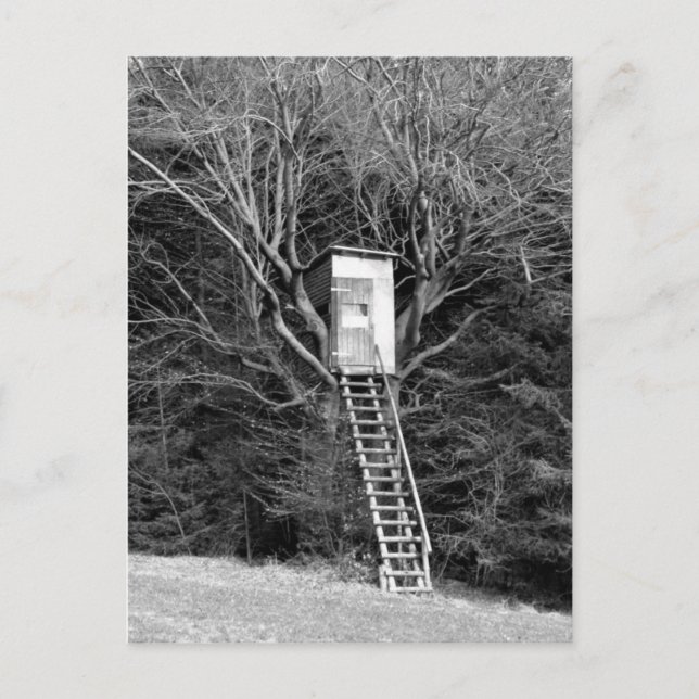 Cartão Postal A cadeira do caçador (Frente)