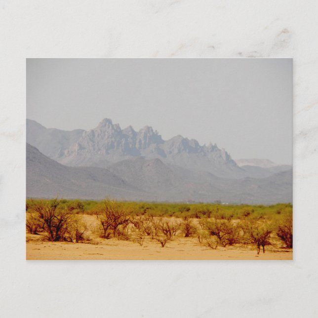 Cartão Postal a caminho de Lordsburg, NM (Frente)