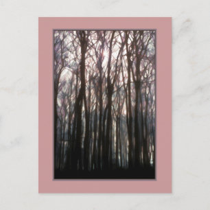 Cartão Postal A Catedral da Floresta Inspiradora Foto
