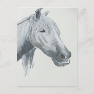 CARTÃO POSTAL A CINZA